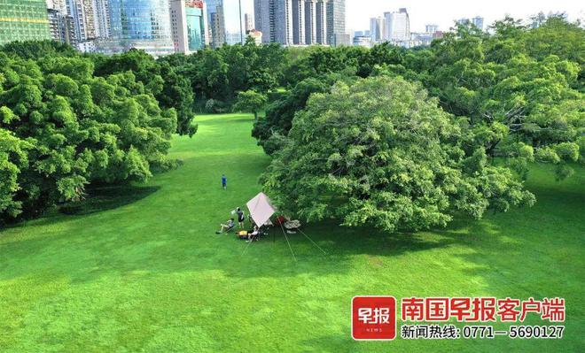 南寧花卉公園_2021年南寧花卉公園_南寧市花卉公園門票多少錢