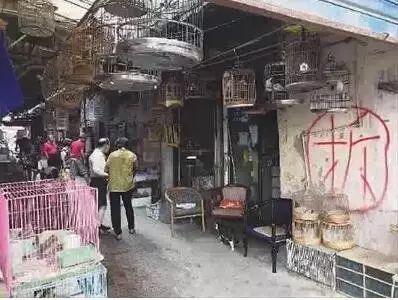 上海賣觀賞魚的地方_觀賞上海賣魚地方有哪些_上海賣觀賞魚市場