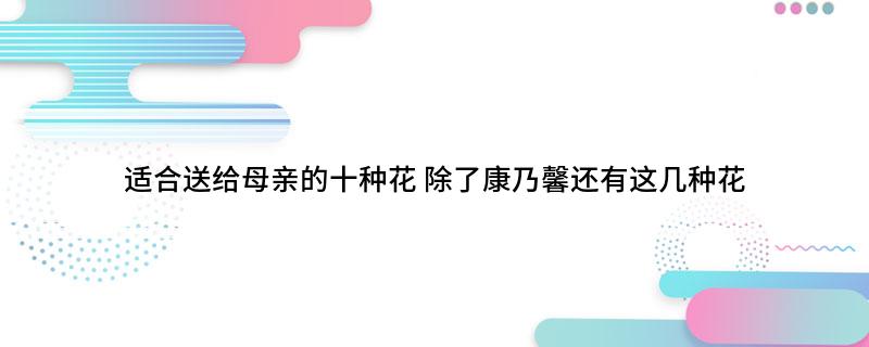 適合送給母親的十種花