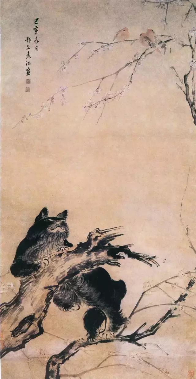 民間傳說貓養了十年會怎么樣_養十年的貓_養了十年的貓愛主人嗎