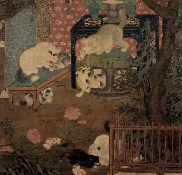 民間傳說貓養了十年會怎么樣_養了十年的貓愛主人嗎_養十年的貓