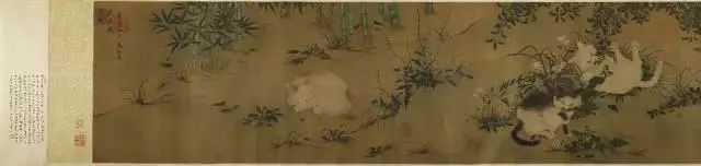 養了十年的貓愛主人嗎_民間傳說貓養了十年會怎么樣_養十年的貓
