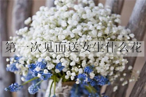 第一次見面送女生什么花，更能讓她接受？