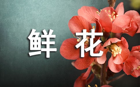 云南鮮花餅作文500字