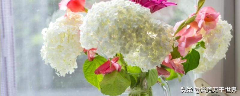 鮮花怎么養時間比較久