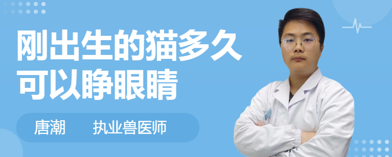 剛出生的貓多久可以睜眼睛