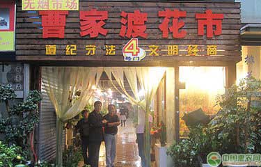 國內著名的花卉批發市場都在哪?