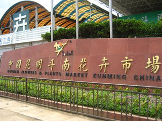 附近花卉市場批發市場在哪里_附近花卉批發市場電話_花卉市場附近
