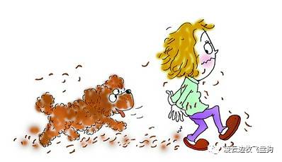 【伴侶犬生活指南】家里總是狗毛紛飛的怎么辦？