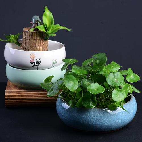 原標題：常見的6種養花盆，最后一種養花長不好，現在少有人用！