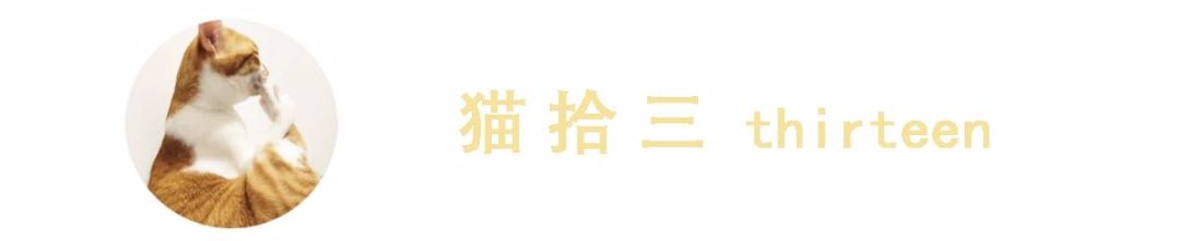 貓咪經(jīng)常嘔吐，鏟屎官習(xí)以為常？再不處理，疾病就要伸出魔爪了