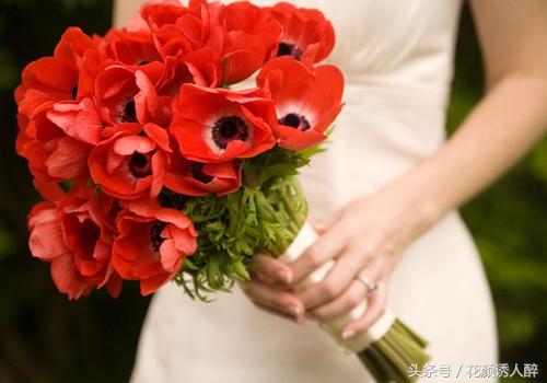 花束怎么包_花束包裝紙_花束包扎