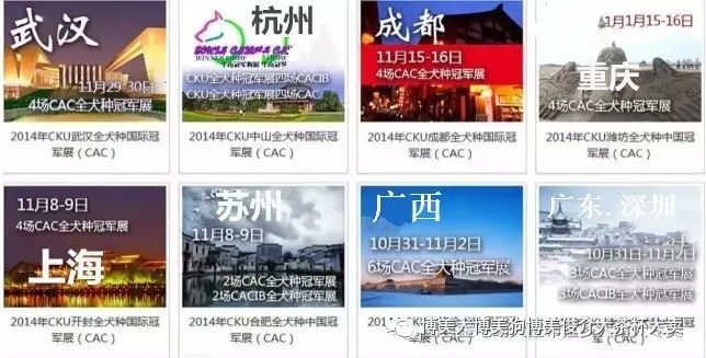 馬犬幼犬多少錢一條_馬犬幣錢包_馬犬多少錢一只幼犬