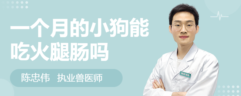 一個月的小狗能吃火腿腸嗎