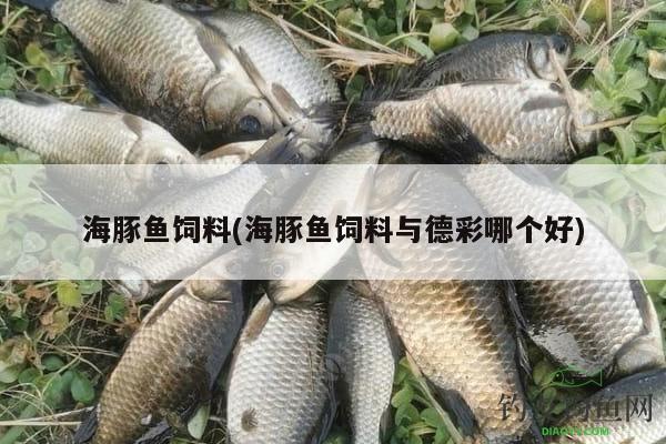 海豚魚飼料(海豚魚飼料與德彩哪個好)