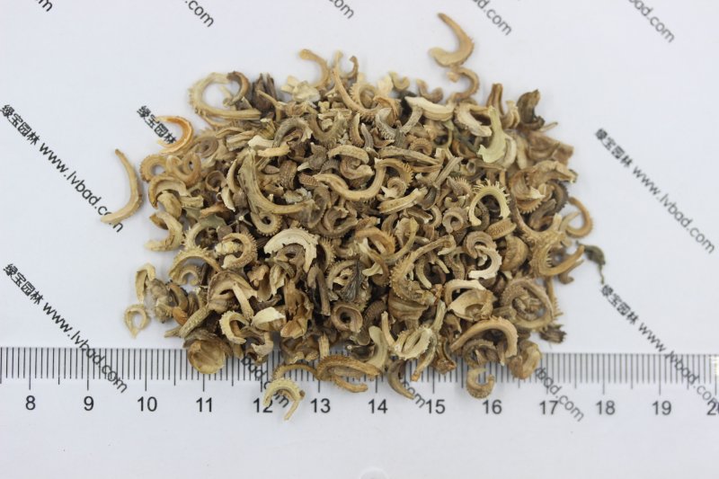 蘇州哪里買花草便宜