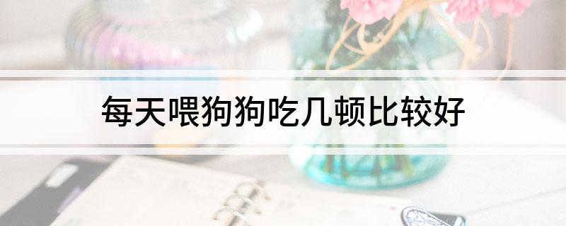 狗狗一天吃一頓可以嗎_狗狗一天吃幾頓_狗狗一天吃幾頓合適