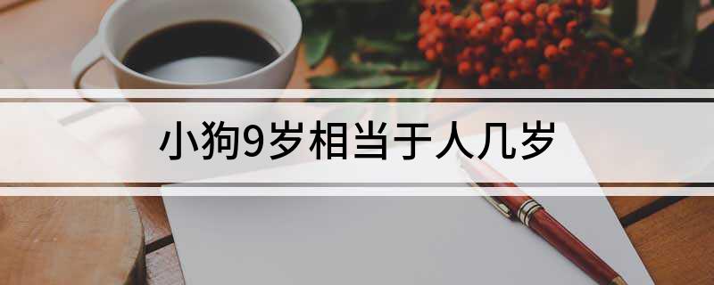 小狗9歲相當于人幾歲