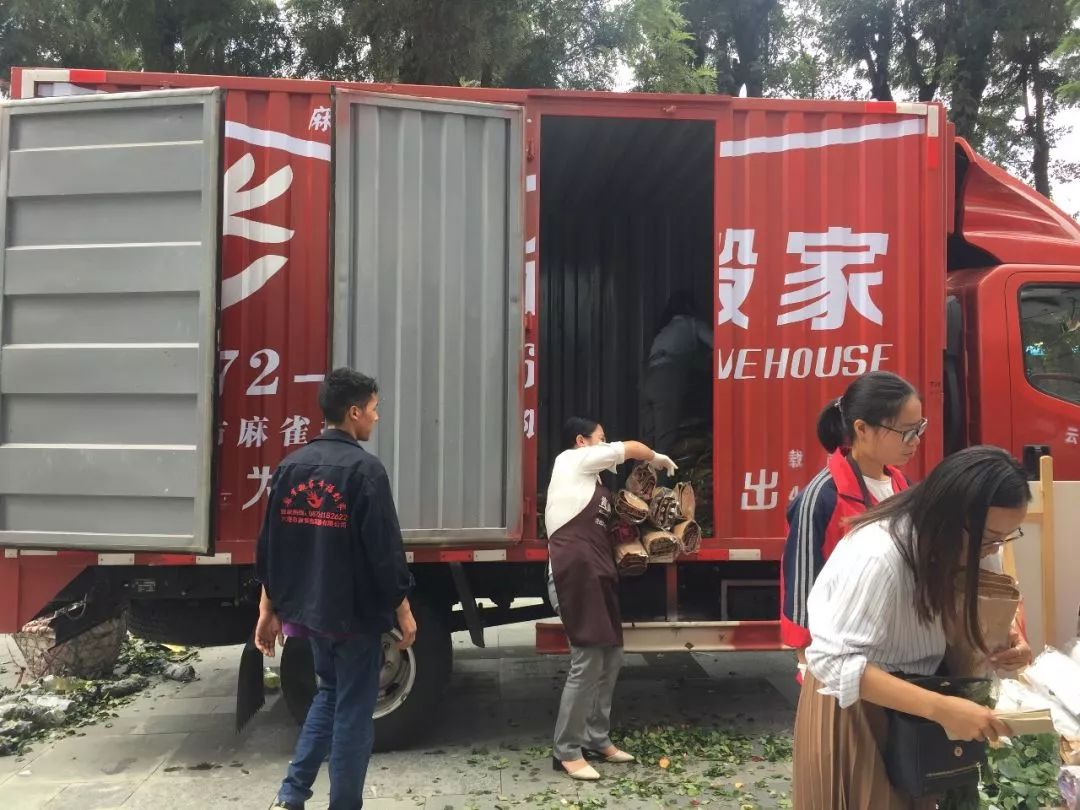 送花的支數代表什么_送花代表支數還是花語_送花支數的寓意