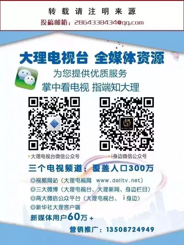 送花的支數代表什么_送花支數的寓意_送花代表支數還是花語