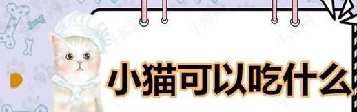 小貓可以吃什么，這四類食物可以放心吃