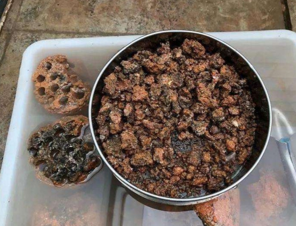 種多肉處理煤渣好嗎_種多肉煤渣的比例是多少_煤渣種多肉怎么處理
