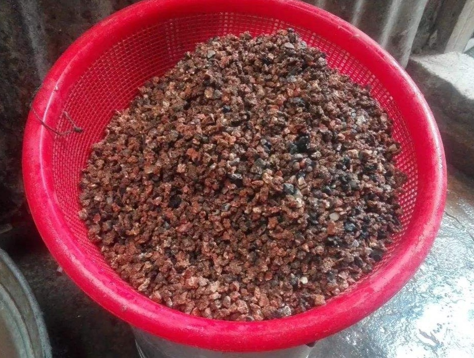煤渣種多肉怎么處理_種多肉處理煤渣好嗎_種多肉煤渣的比例是多少